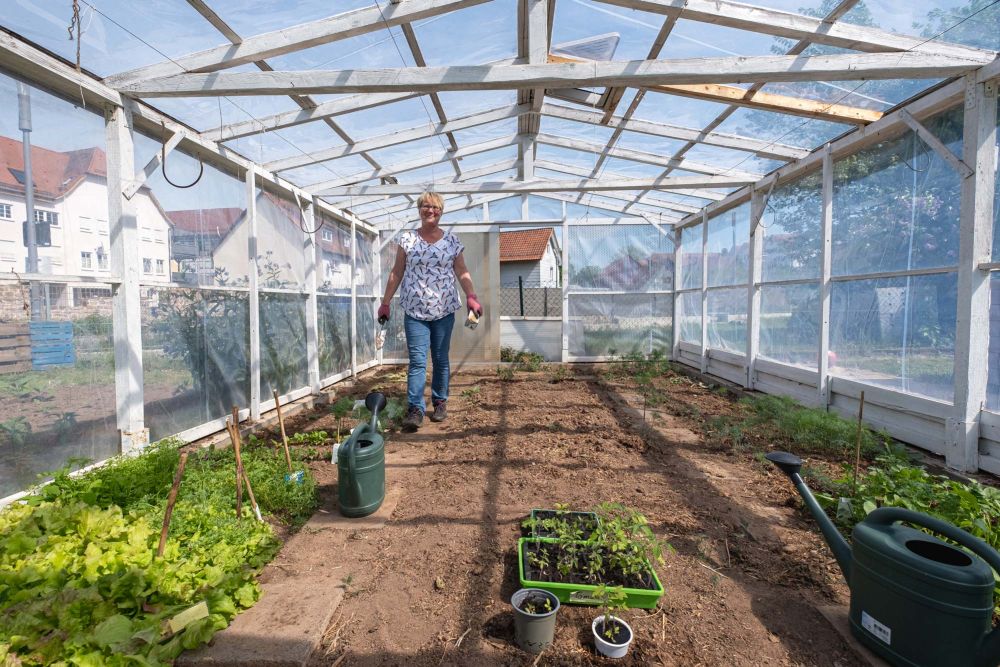 Gartenarbeiten im Gewächshaus